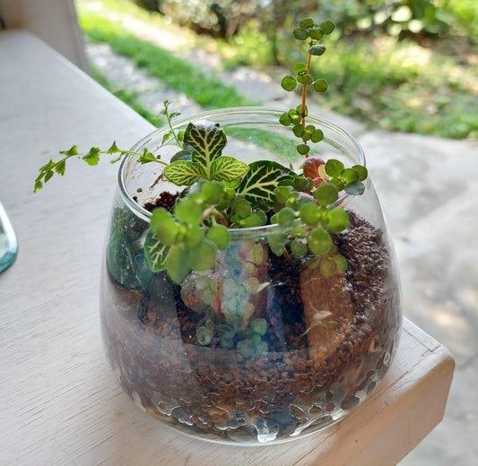 有機植栽